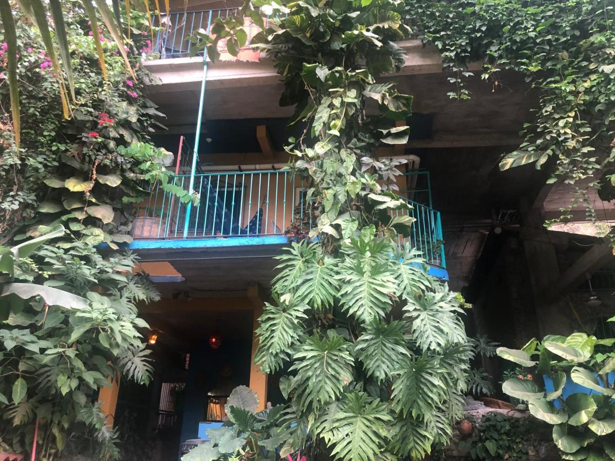 פוארטו ואלארטה Casa Cereza Apartments מראה חיצוני תמונה